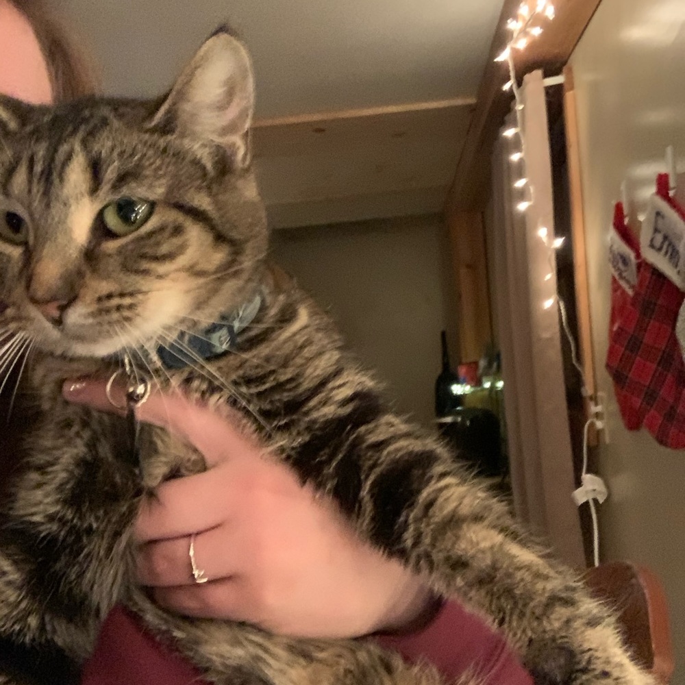 Meet your Posher, Emma